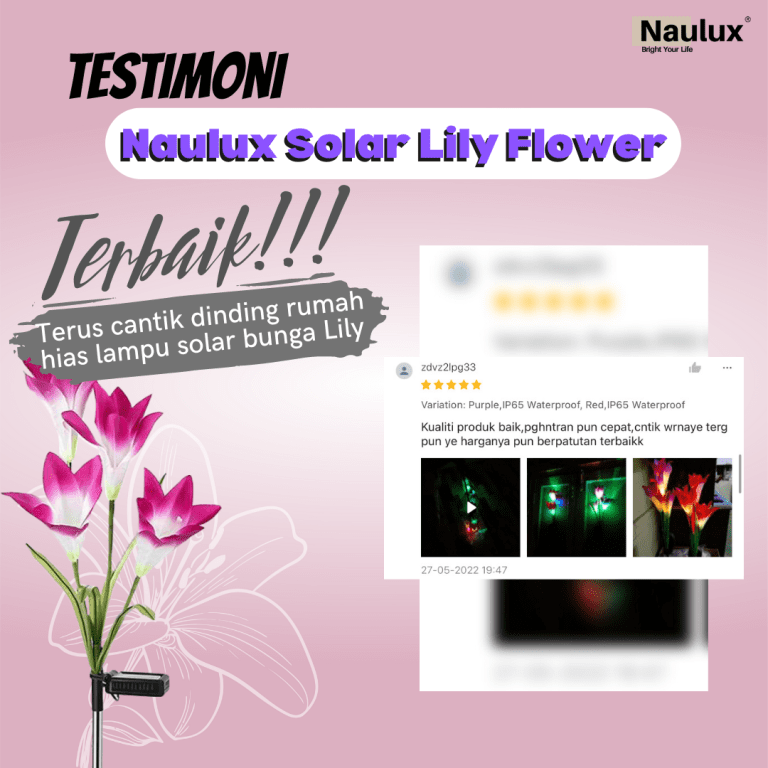 Testimoni lampu solar lily (1)