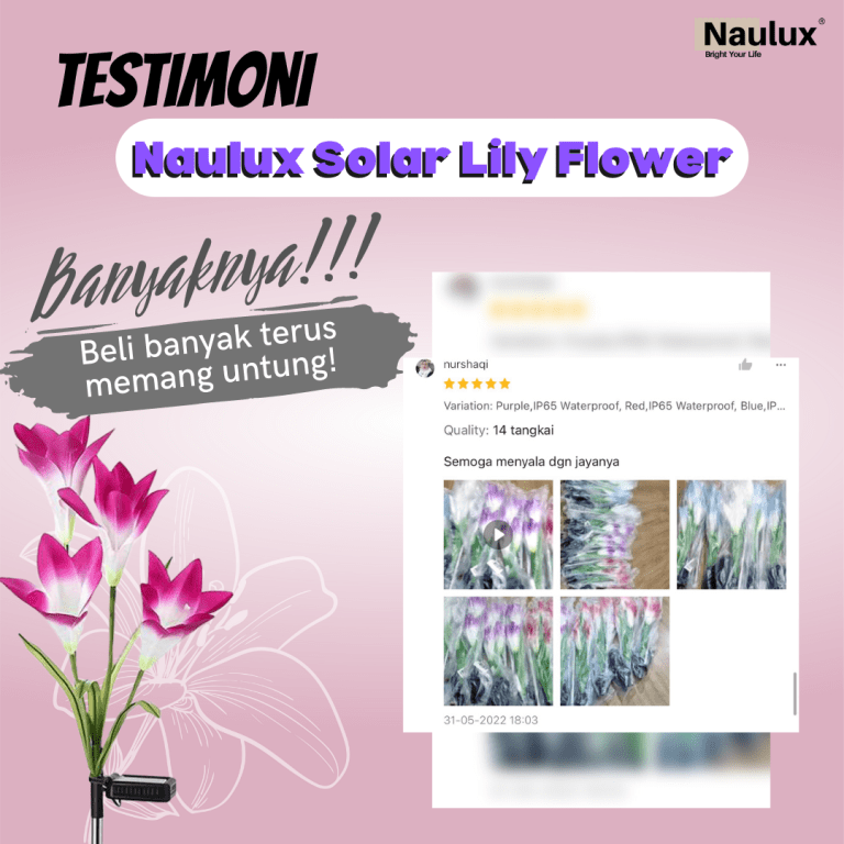 Testimoni lampu solar lily (10)