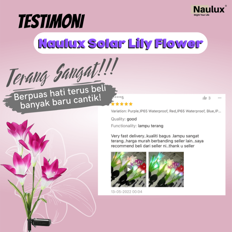 Testimoni lampu solar lily (2)