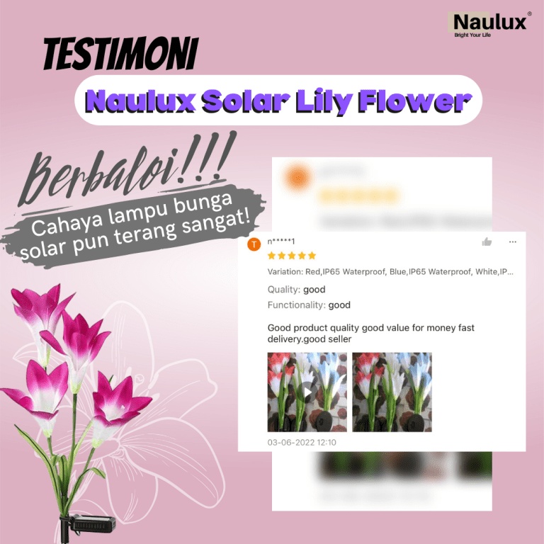 Testimoni lampu solar lily (9)