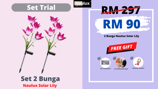 LAMPUSOLAR LILY SET TRIAL 2 PCS