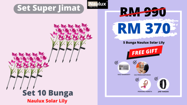 LAMPUSOLAR LILY SET TRIAL 10 PCS