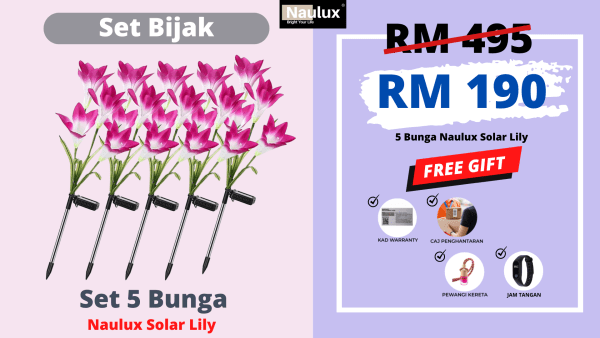 LAMPUSOLAR LILY SET TRIAL 2 PCS