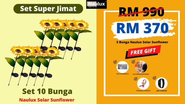 SUNFLOWER - PAKEJ SUPER JIMAT