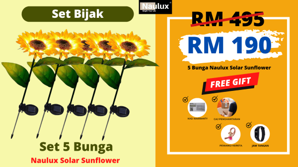 SUNFLOWER - PAKEJ BIJAK